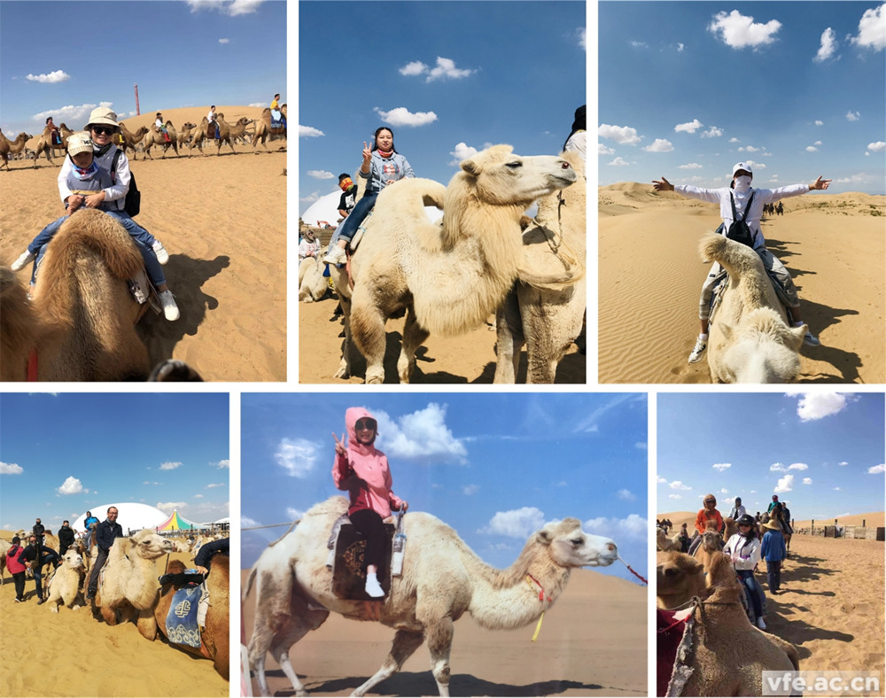 騎著駱駝走沙漠，不要太穿越