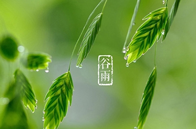 谷雨，播種希望