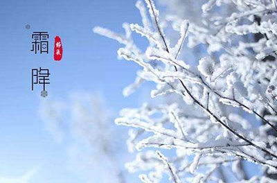 葉落草枯，秋晚凝霜