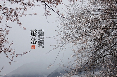 春雷起，驚蟄出
