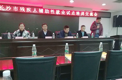 銀河電氣參加2017年長(zhǎng)沙市殘疾人輔助性就業(yè)試點(diǎn)培訓(xùn)交流會(huì)